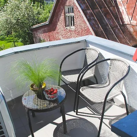 Nette Guest house 3*